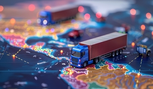 Правила международных перевозок: особенности в АПК