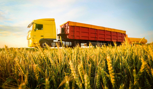 Сбыт сельскохозяйственной продукции: особенности
